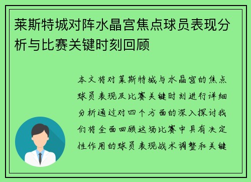 莱斯特城对阵水晶宫焦点球员表现分析与比赛关键时刻回顾