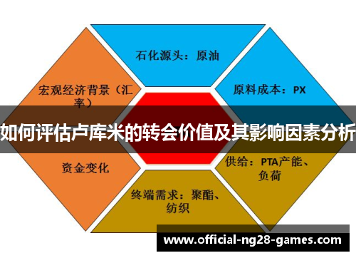 如何评估卢库米的转会价值及其影响因素分析